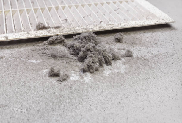 Best Air Duct Cleaning Near Me  in Peoria Heights, IL