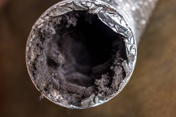 Best Dryer Vent Cleaning Services  in Peoria Heights, IL